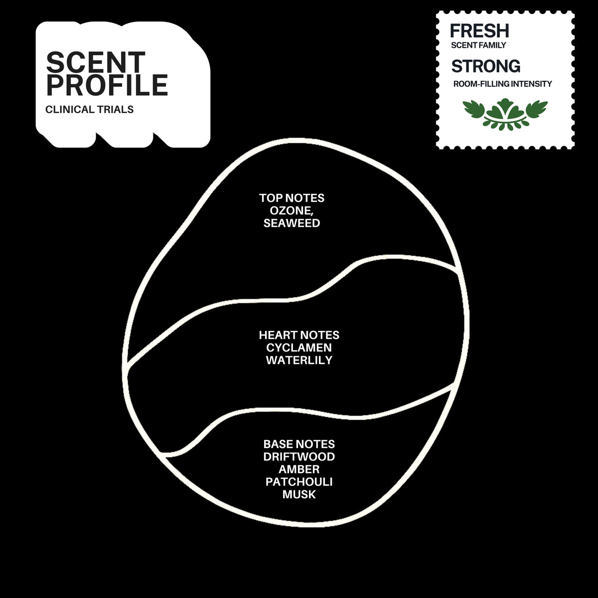Clinical Trials scented candle – product view 4