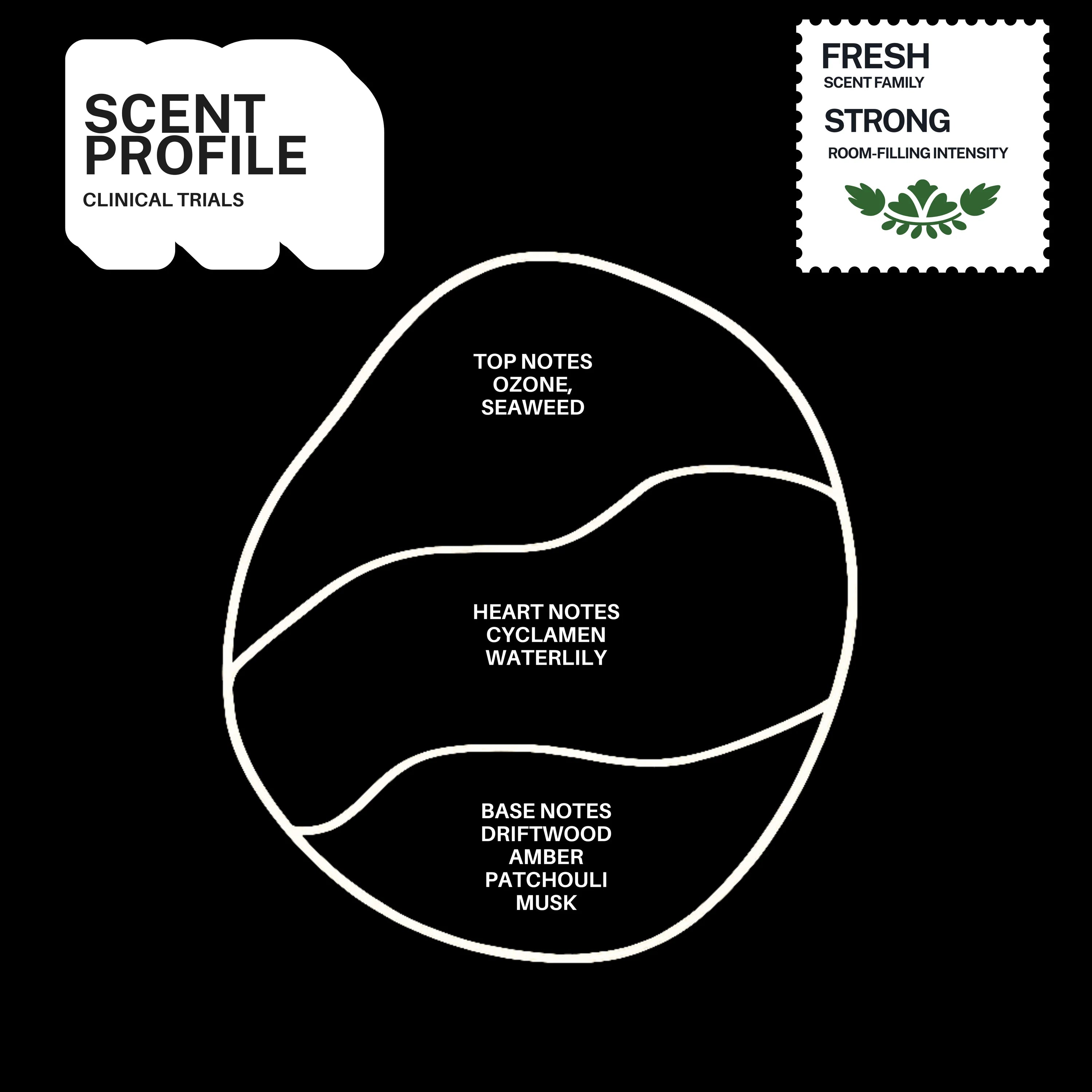 Clinical Trials scented candle – product view 4