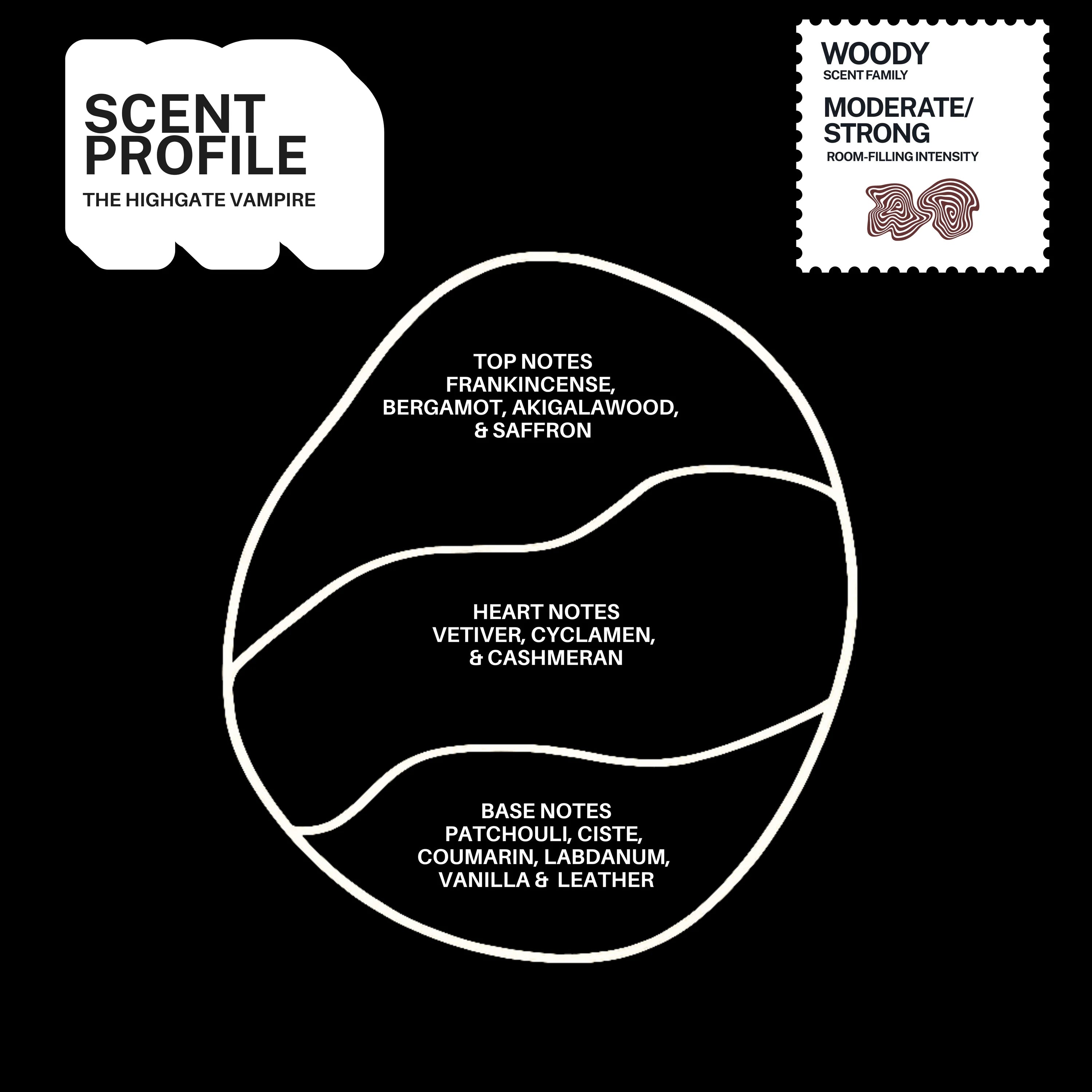 The Highgate Vampire scented candle – product view 4