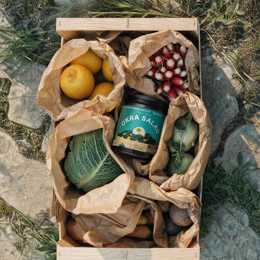 Okra Salad scented candle by Apollo Ipsum