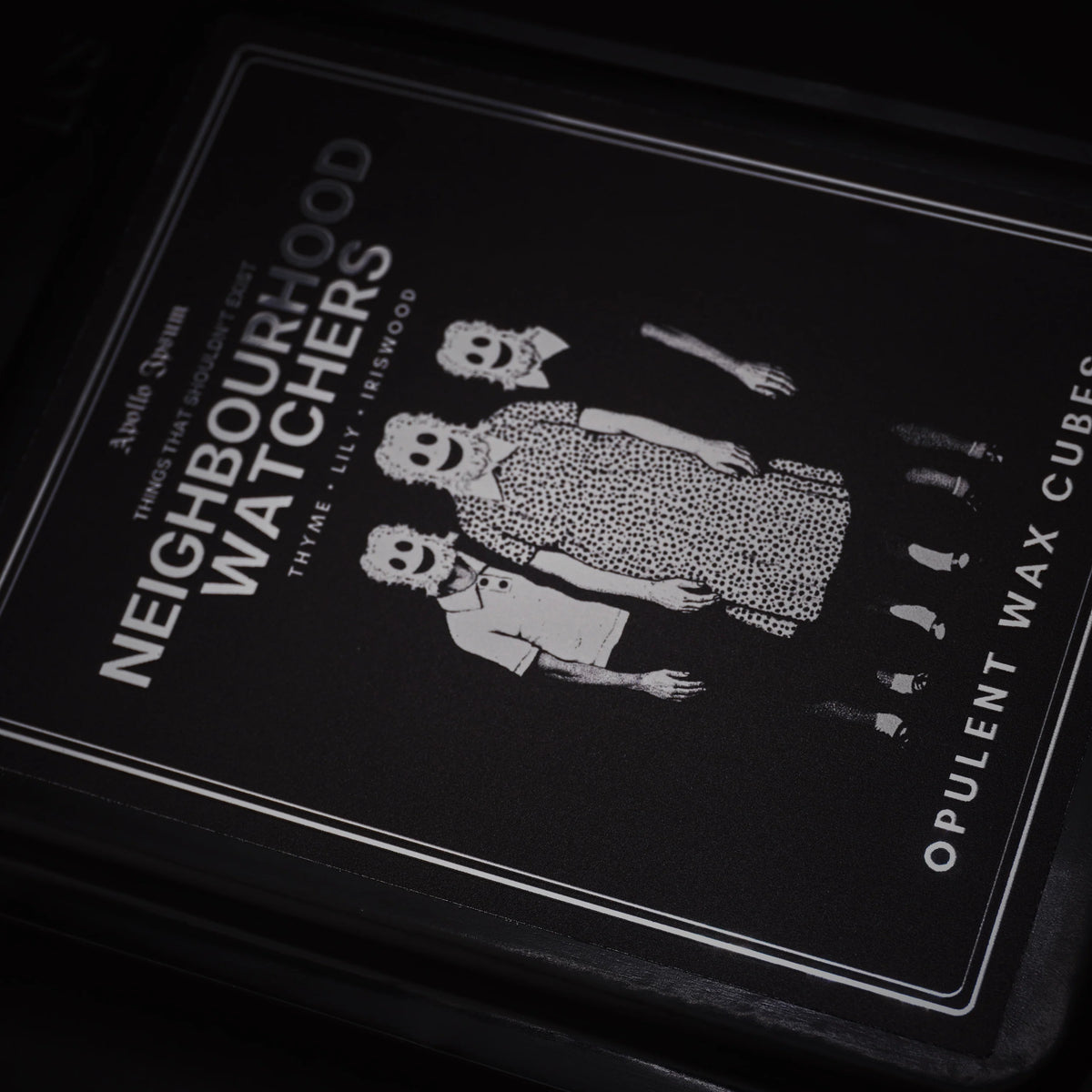 Neighbourhood Watchers Opulent Wax Cubes soy wax melts – product view 2