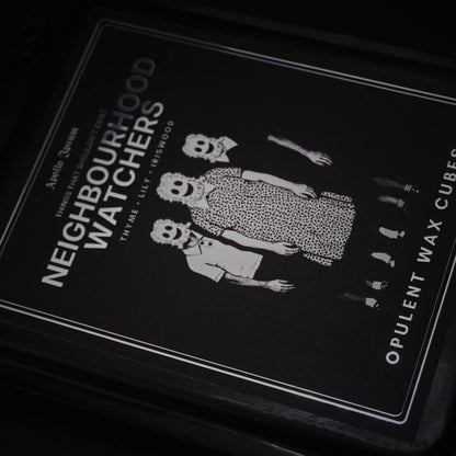 Neighbourhood Watchers Opulent Wax Cubes soy wax melts – product view 2